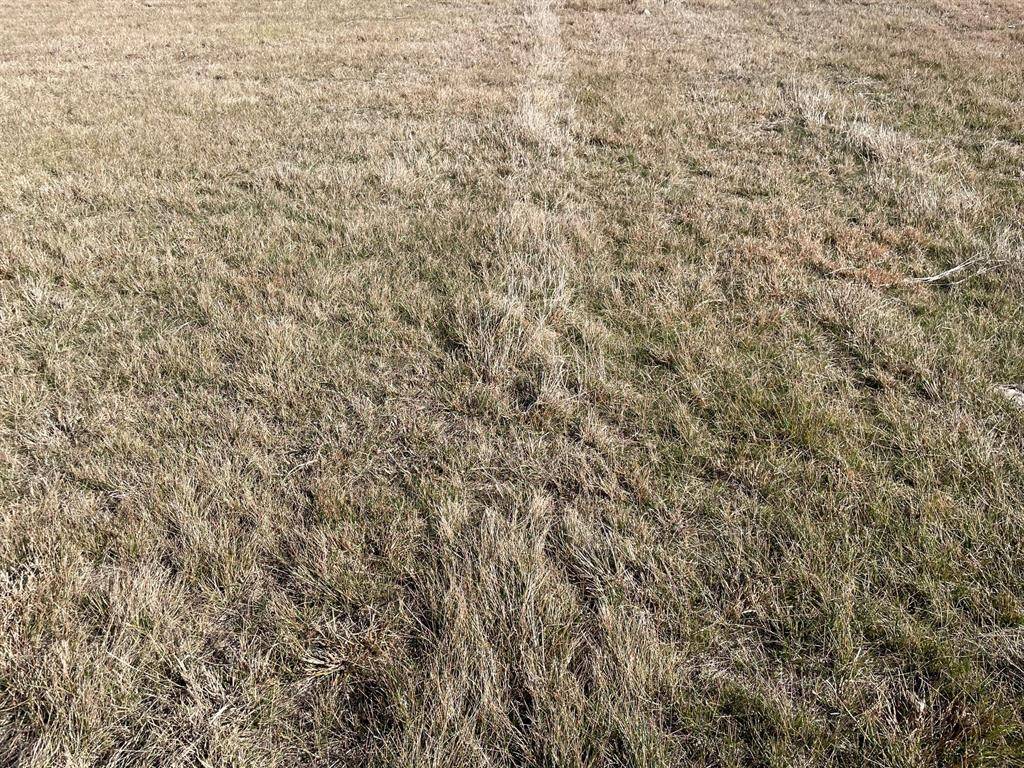 Valley Mills, TX 76689,TBD 3 Miller Rd