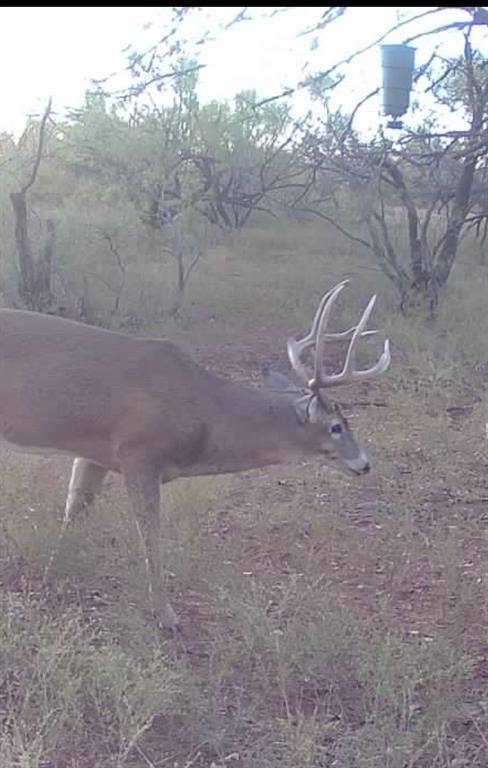 Quanah, TX 79252,1400 Hammond Road