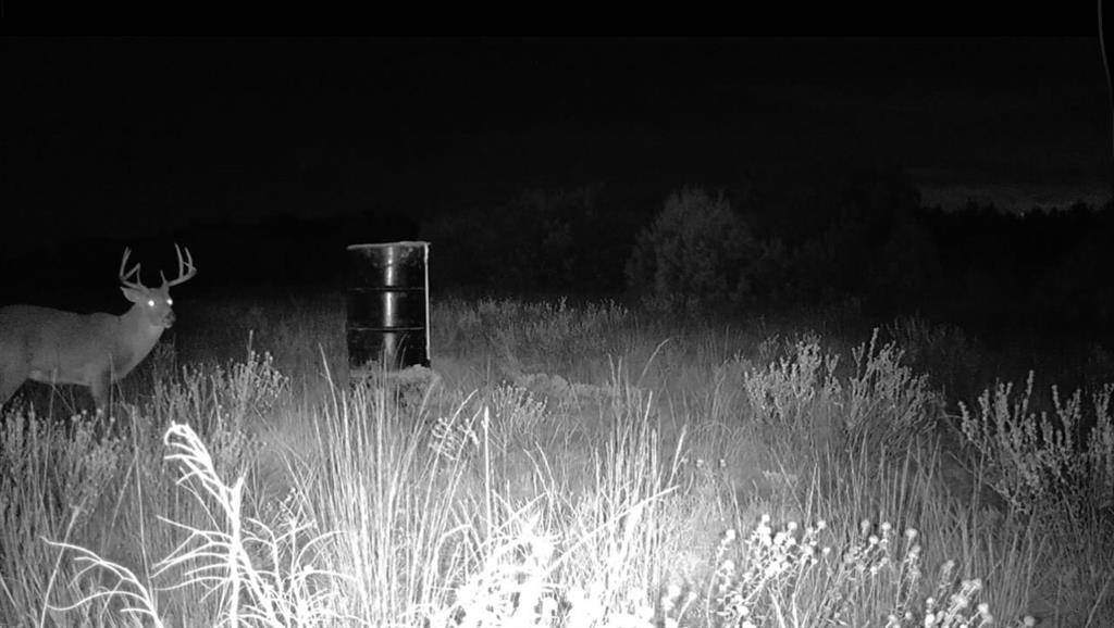 Quanah, TX 79252,1400 Hammond Road