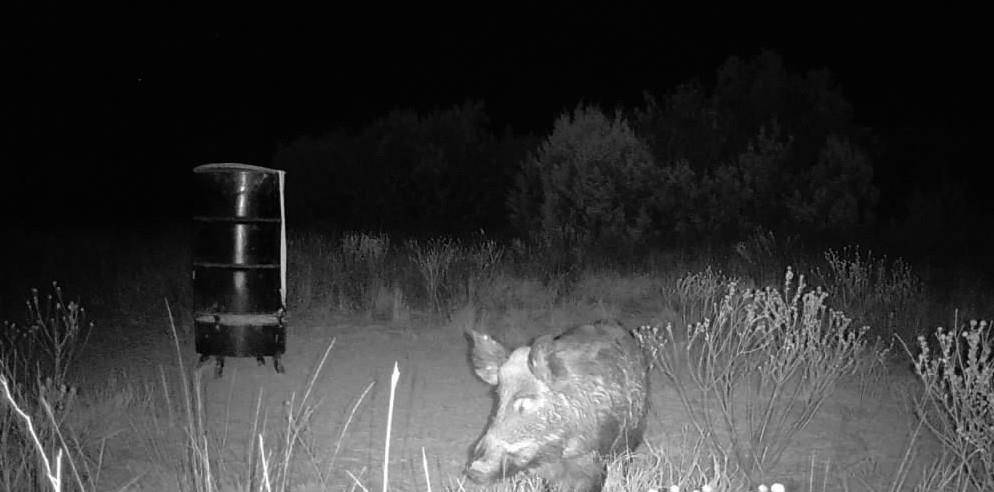 Quanah, TX 79252,1400 Hammond Road