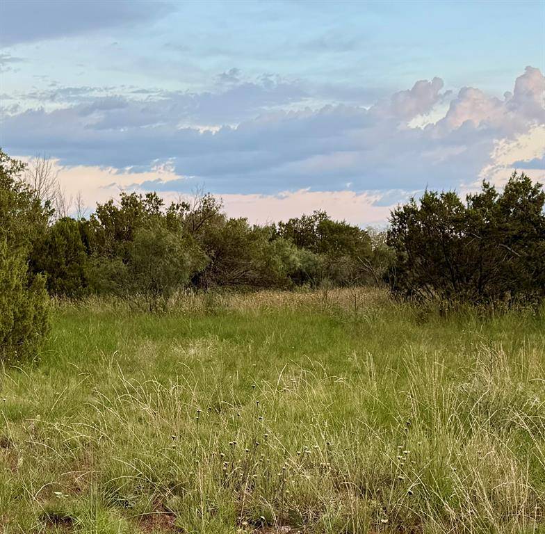 Quanah, TX 79252,1400 Hammond Road