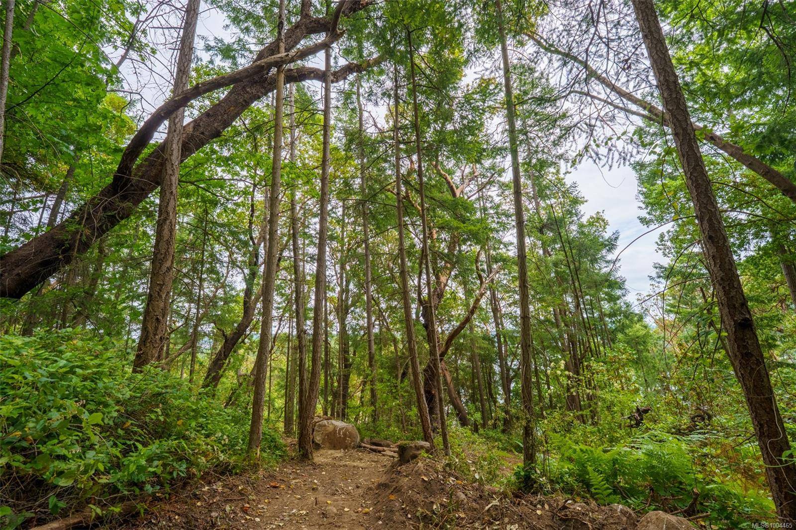 Ruxton Island, BC 000 000,Lot 19 Ruxton Island