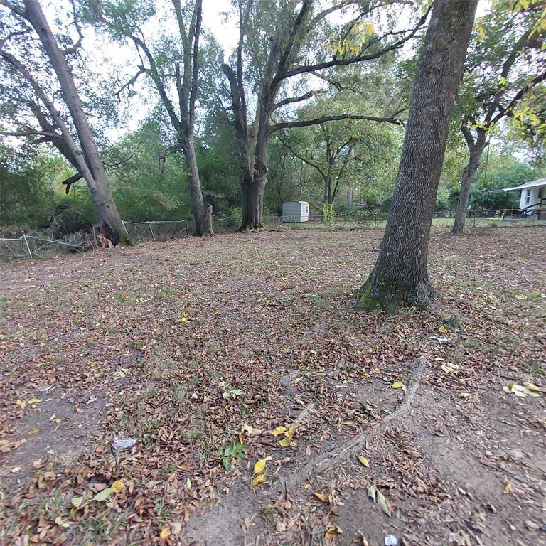 New Boston, TX 75570,318 N Frost Street