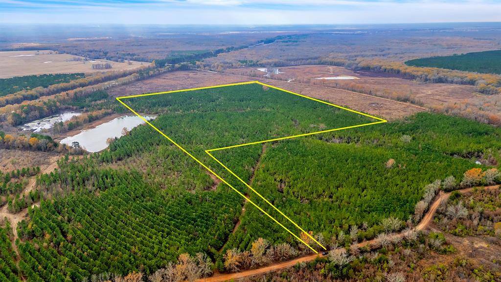 De Kalb, TX 75559,TBD Cr-4308