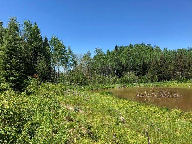 Timmins, ON P4N 7C2,38.24 Acres - PCL 24640 N/A N/A