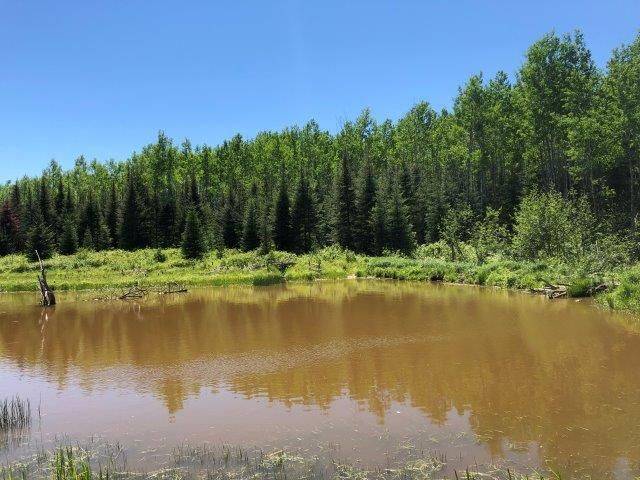 Timmins, ON P4N 7C2,38.24 Acres - PCL 24640 N/A N/A