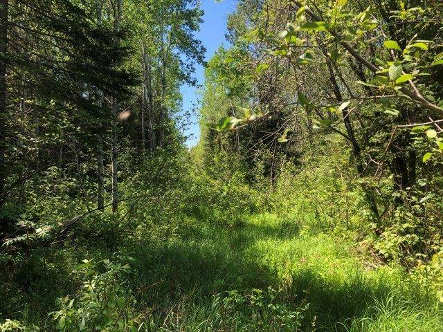 Timmins, ON P4N 7C2,38.24 Acres - PCL 24640 N/A N/A