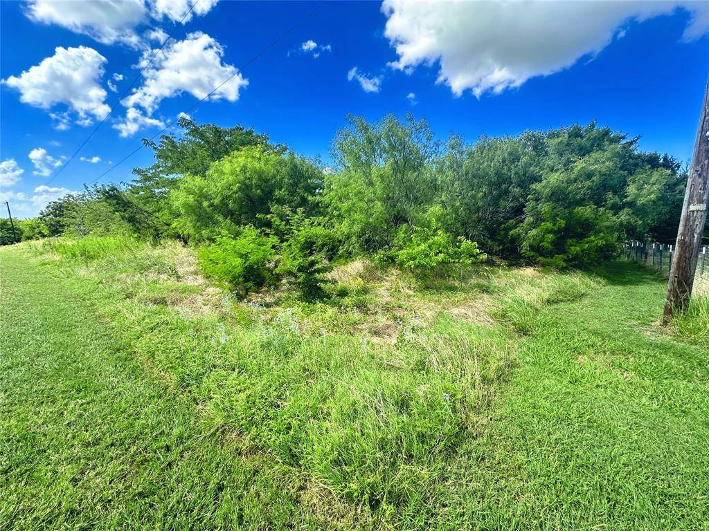 Corsicana, TX 75109,Lots 47 & 79 Bluffview Estates Road