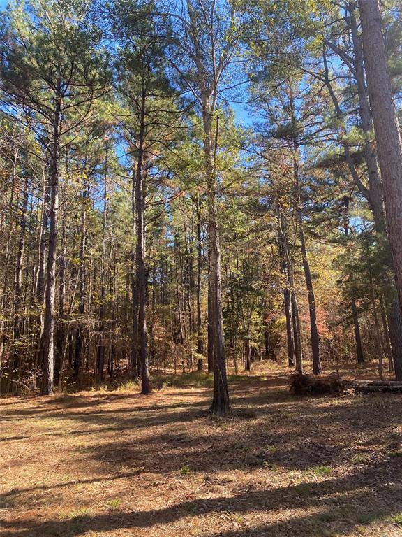 Ben Wheeler, TX 75754,44.2 Acres State Hwy 64