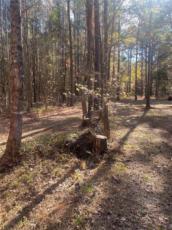 Ben Wheeler, TX 75754,44.2 Acres State Hwy 64