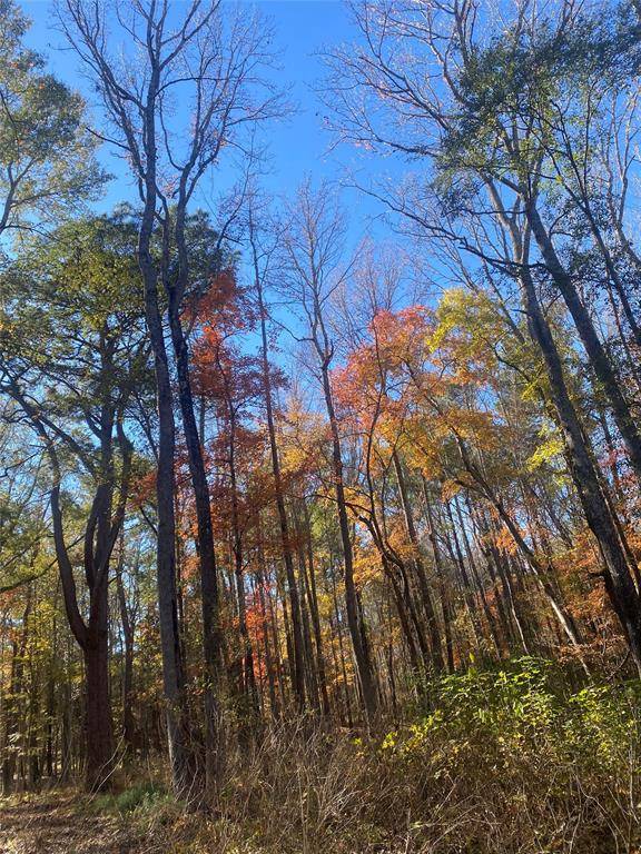 Ben Wheeler, TX 75754,44.2 Acres State Hwy 64