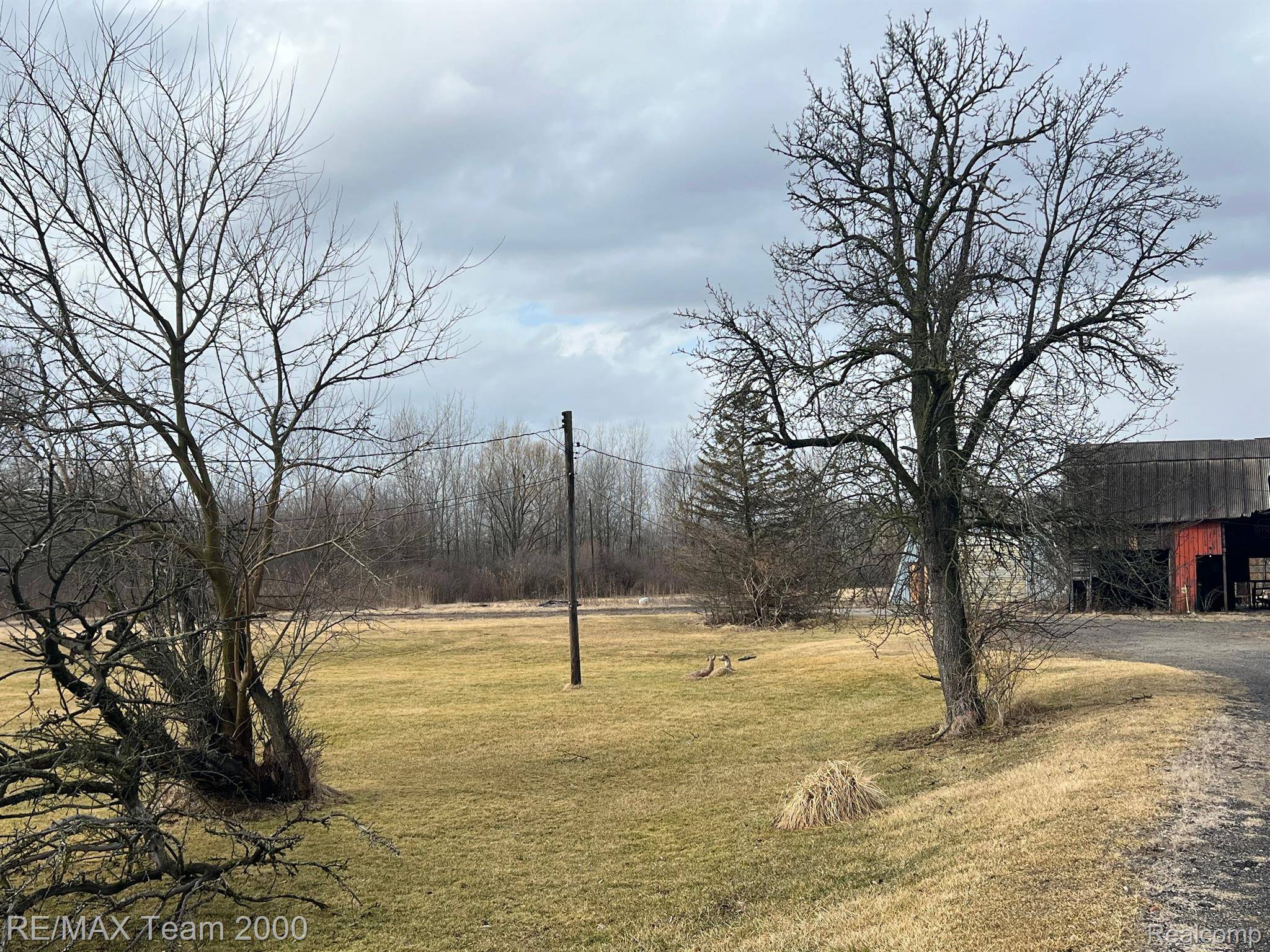 Romulus, MI 48174,12392 WAHRMAN ST