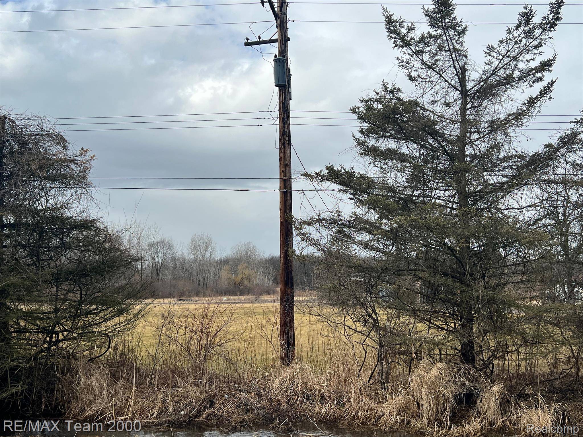 Romulus, MI 48174,12392 WAHRMAN ST