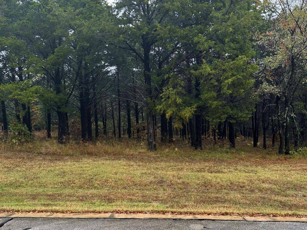 Gordonville, TX 76245,106 Barrington Circle