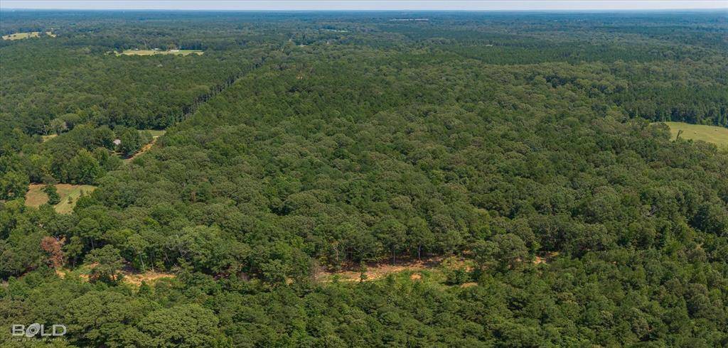 Haughton, LA 71037,1254 Oliver Road Lot 4