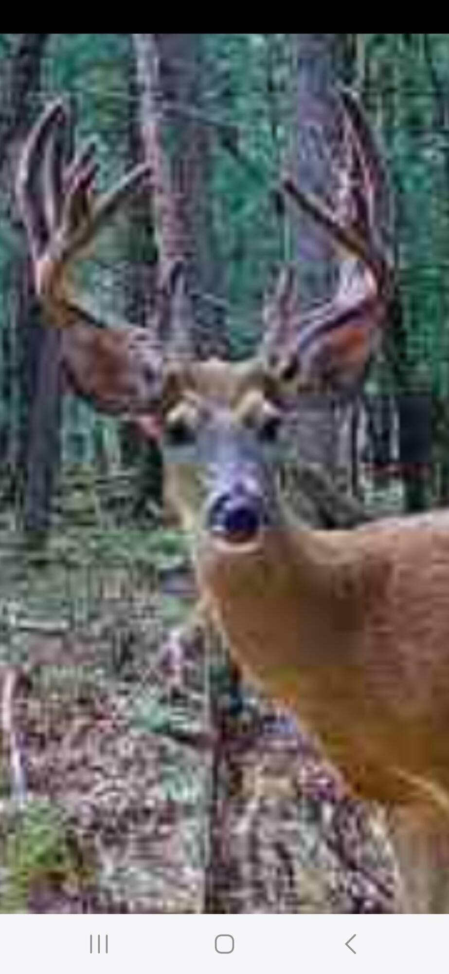 Bitely, MI 49309,9283 Willow RD