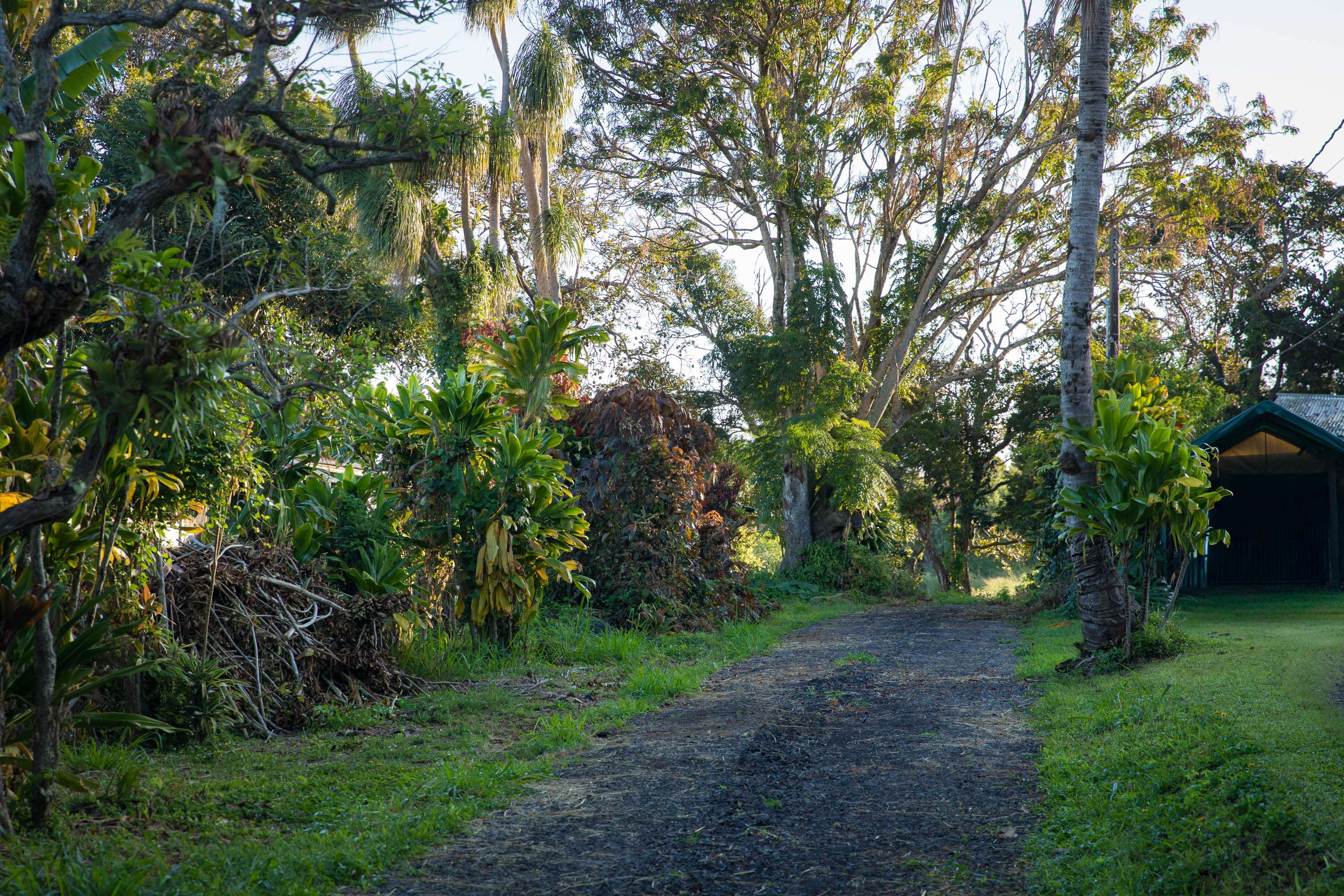 Hawi, HI 96719,55-789 HAWI RD