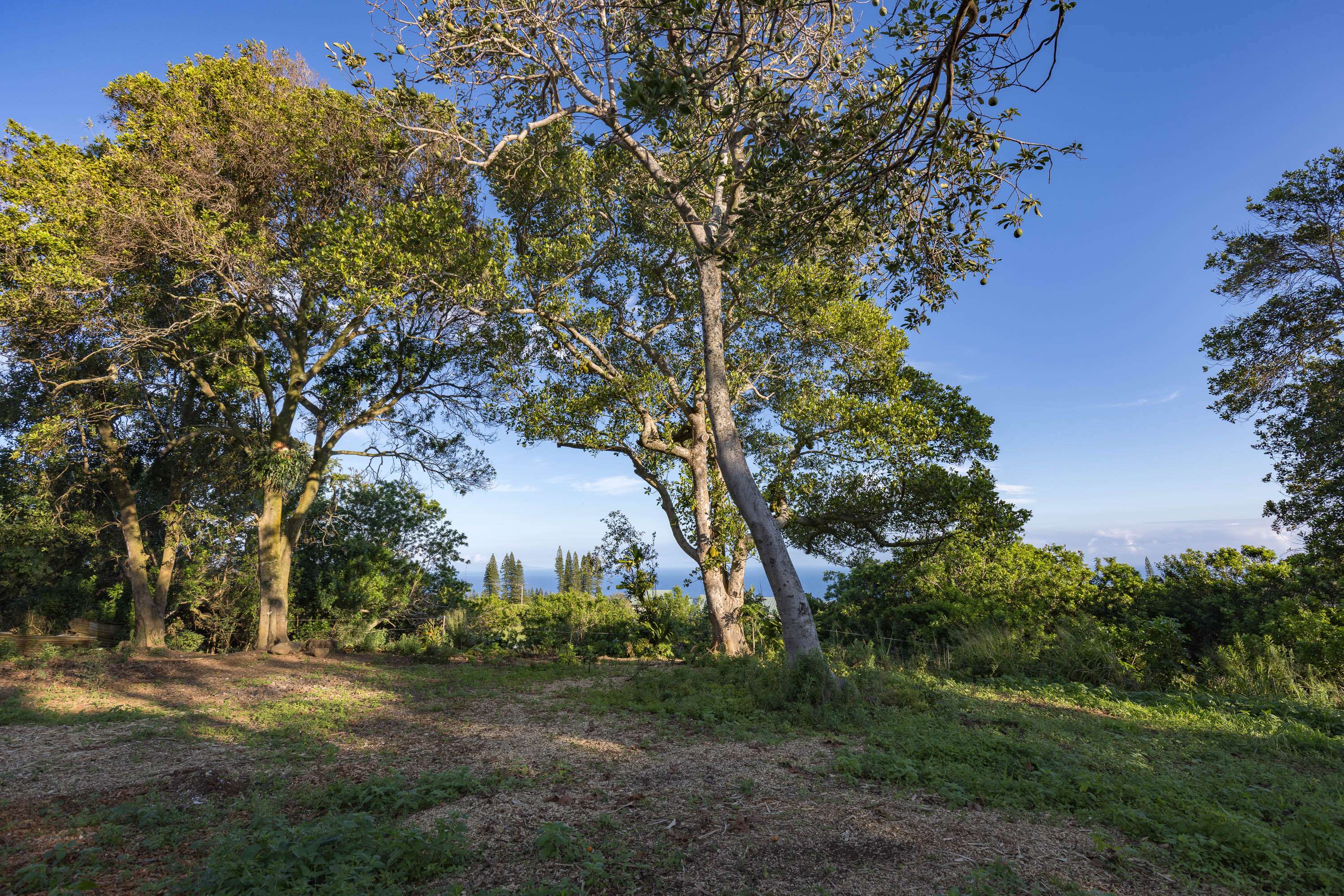 55-789 HAWI RD, Hawi, HI 96719