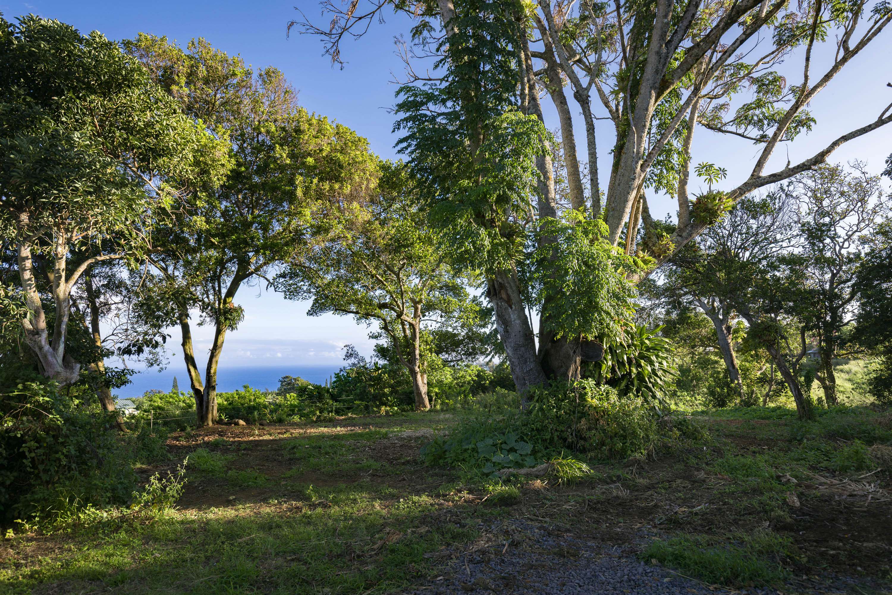 55-789 HAWI RD, Hawi, HI 96719