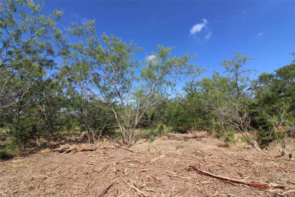 Kaufman, TX 75142,TBD Lot 1 County Road 146