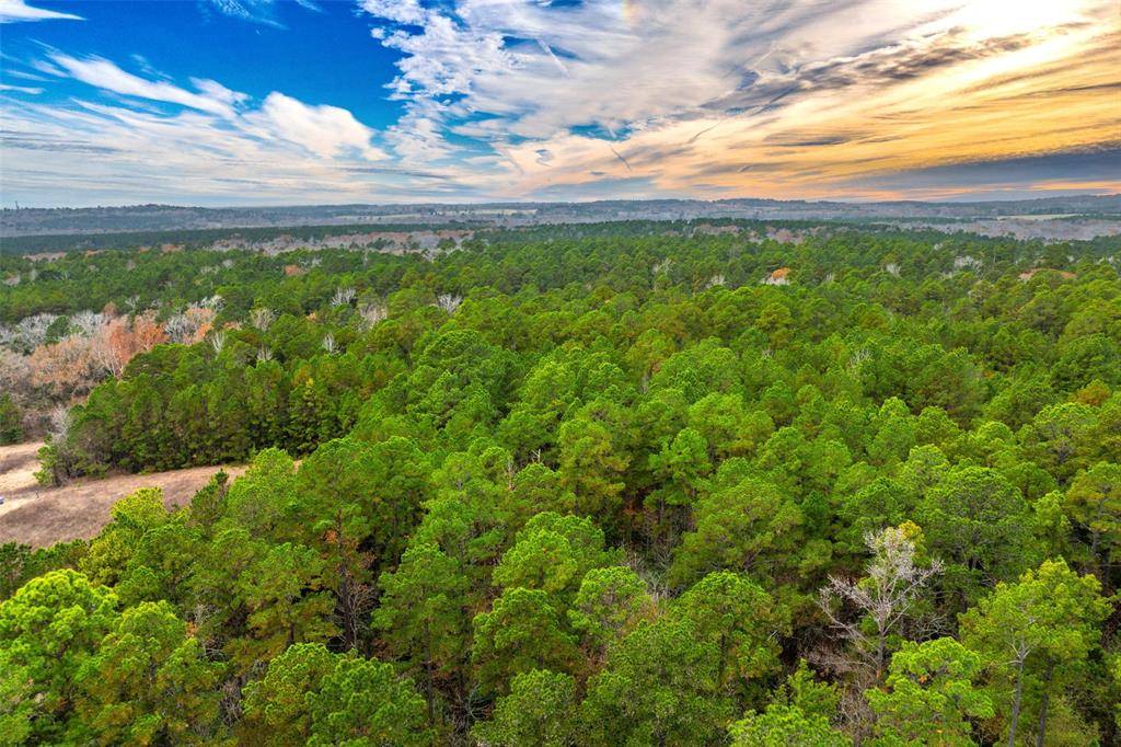 Palestine, TX 75839,0 Anderson County Road 140