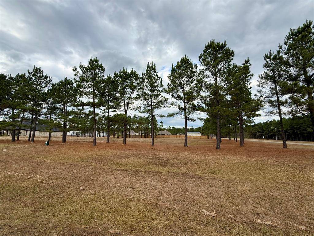 Princeton, LA 71067,201 Chapel Creek