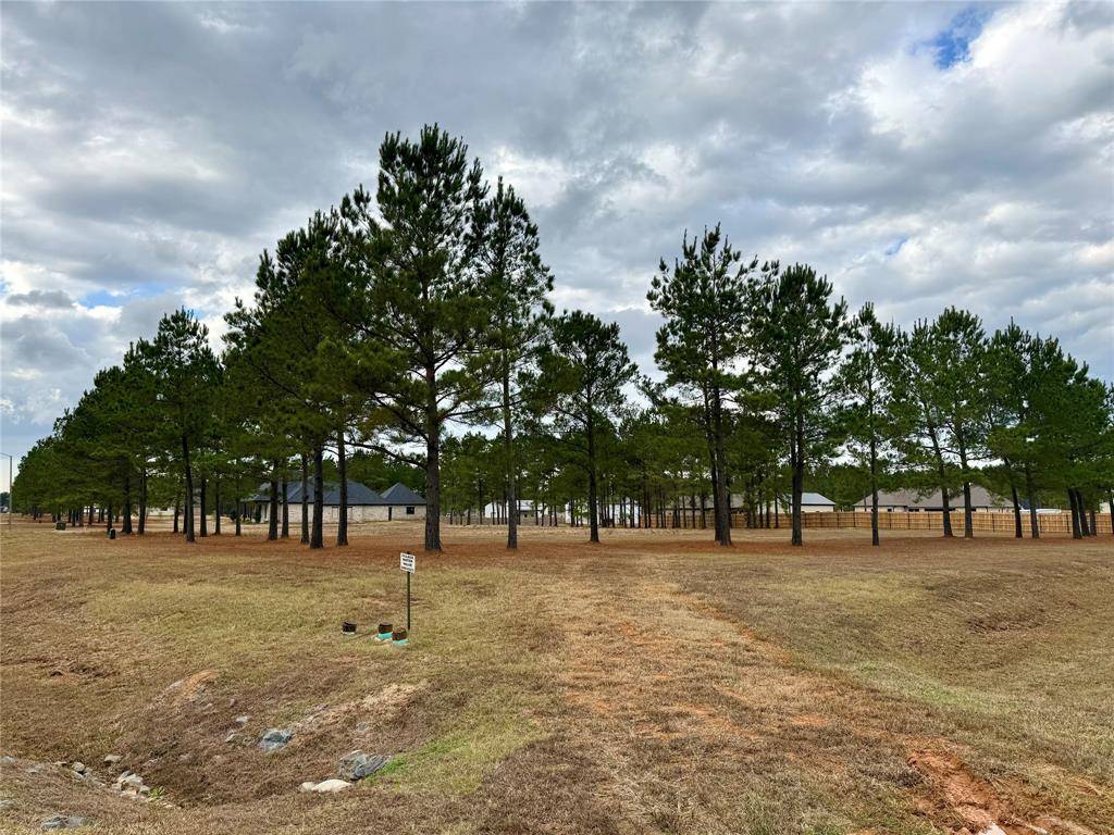 Princeton, LA 71067,201 Chapel Creek