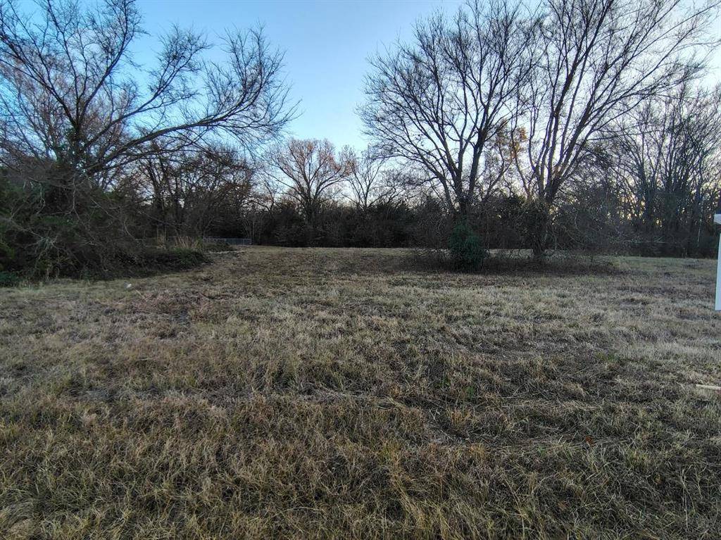 Quitman, TX 75783,16D Whitefoot