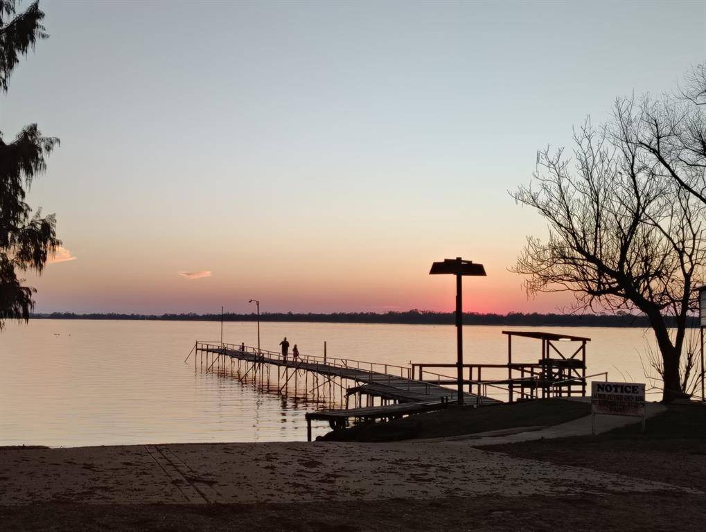 Quitman, TX 75783,16D Whitefoot