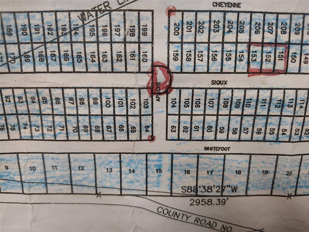 Quitman, TX 75783,16D Whitefoot