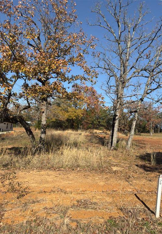 Lindale, TX 75771,19668 Dove Ridge Drive