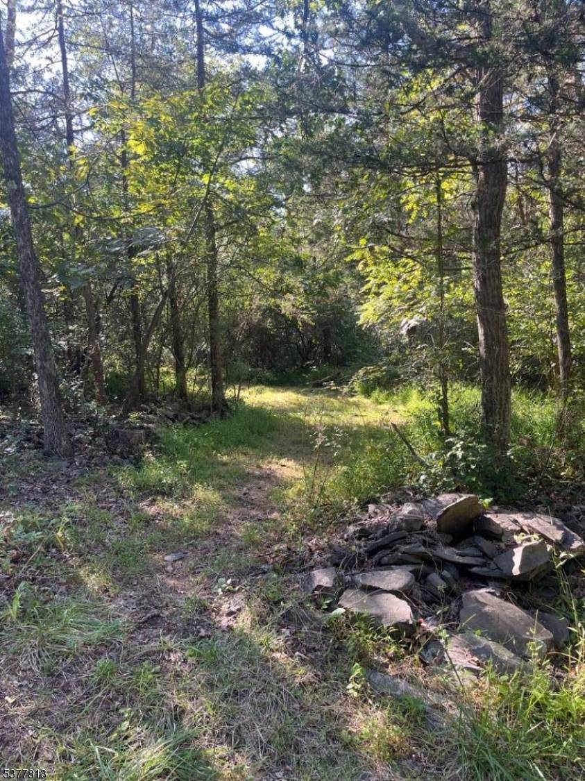 Delaware Twp., NJ 08559,81 Upper Creek Rd