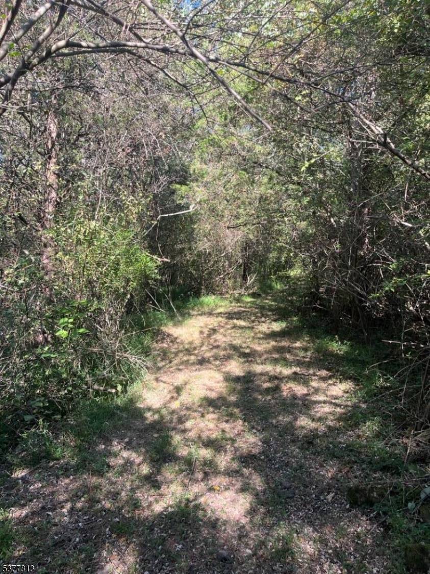 Delaware Twp., NJ 08559,81 Upper Creek Rd