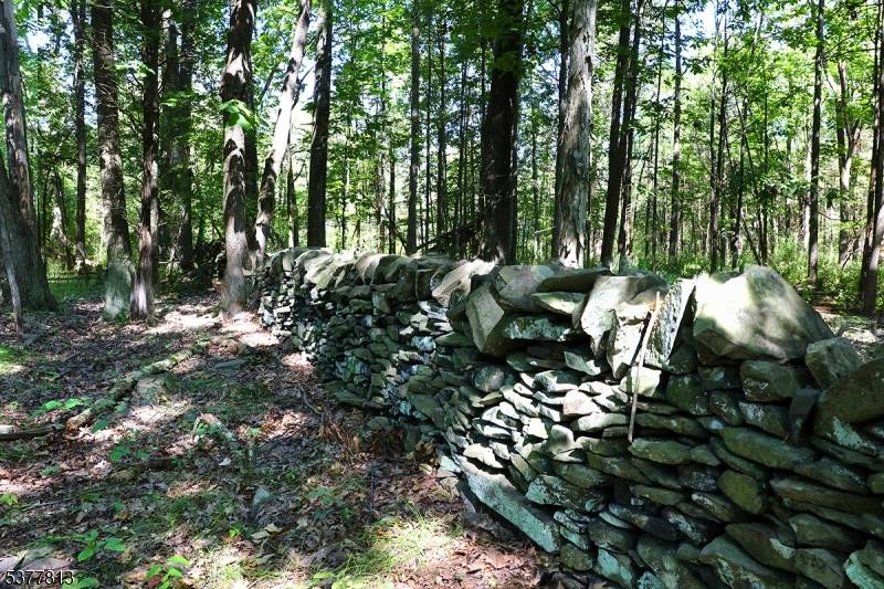 Delaware Twp., NJ 08559,81 Upper Creek Rd