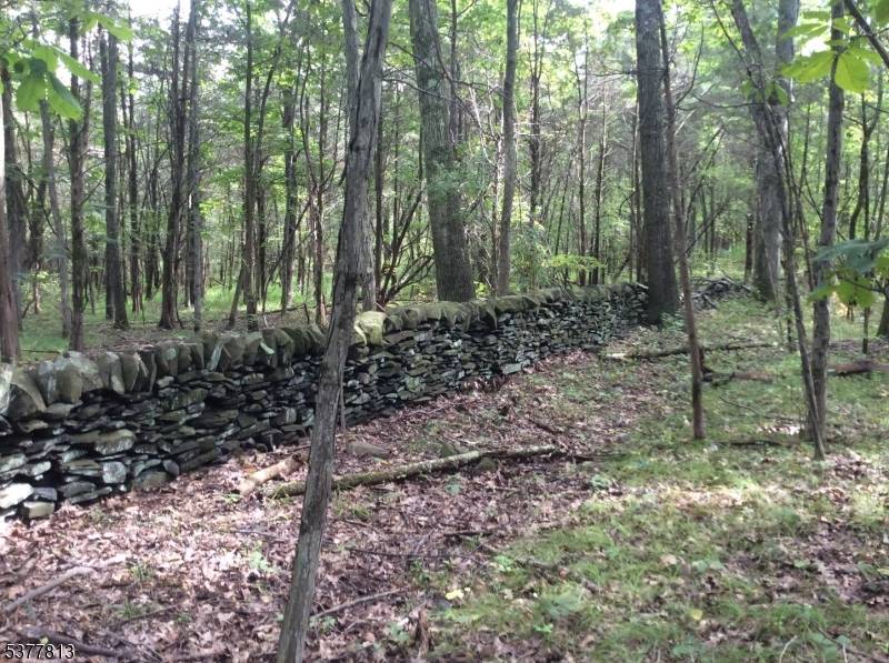 Delaware Twp., NJ 08559,81 Upper Creek Rd