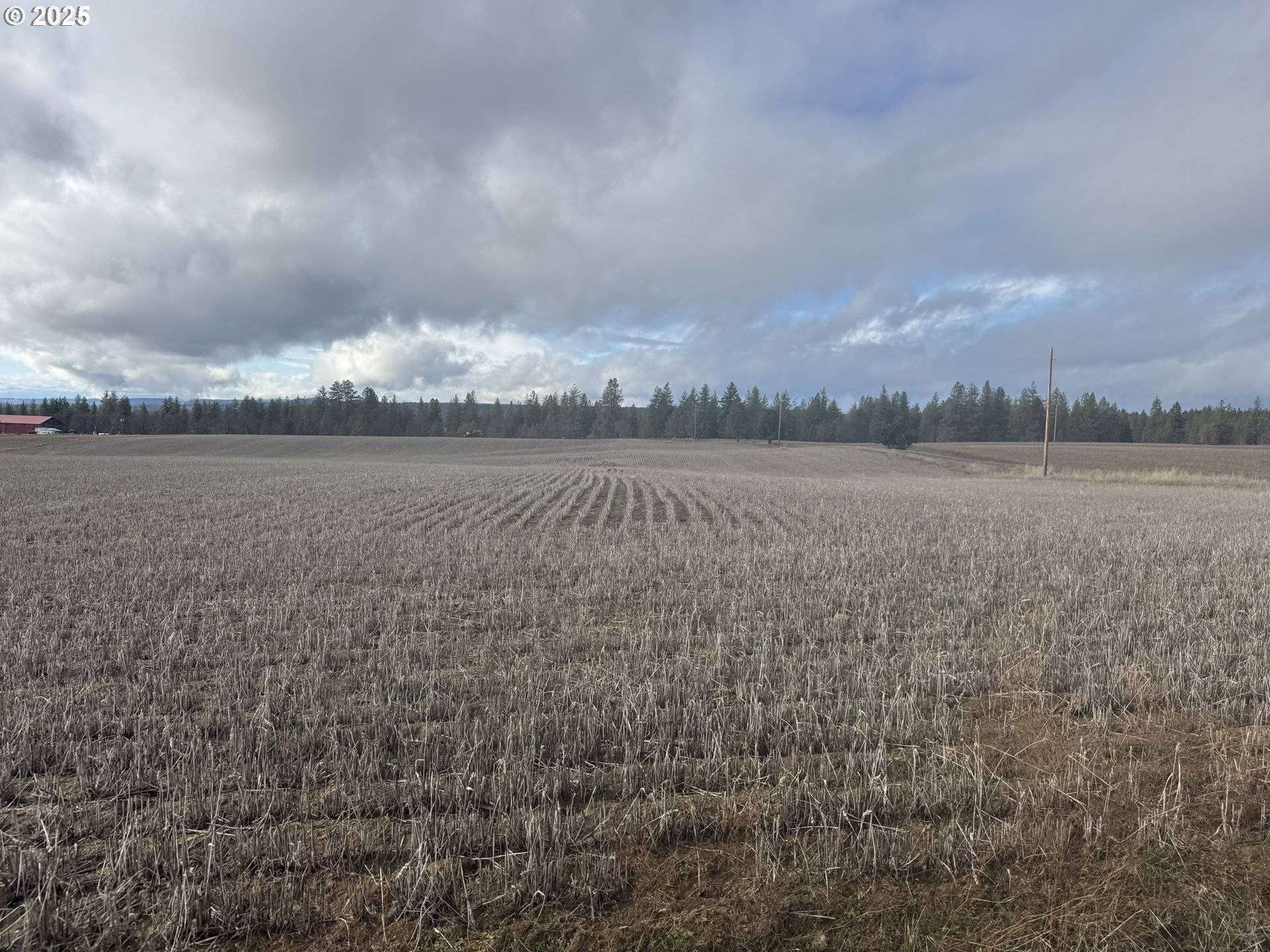 Centerville, WA 98613,NKA Two Mountainview RD #1