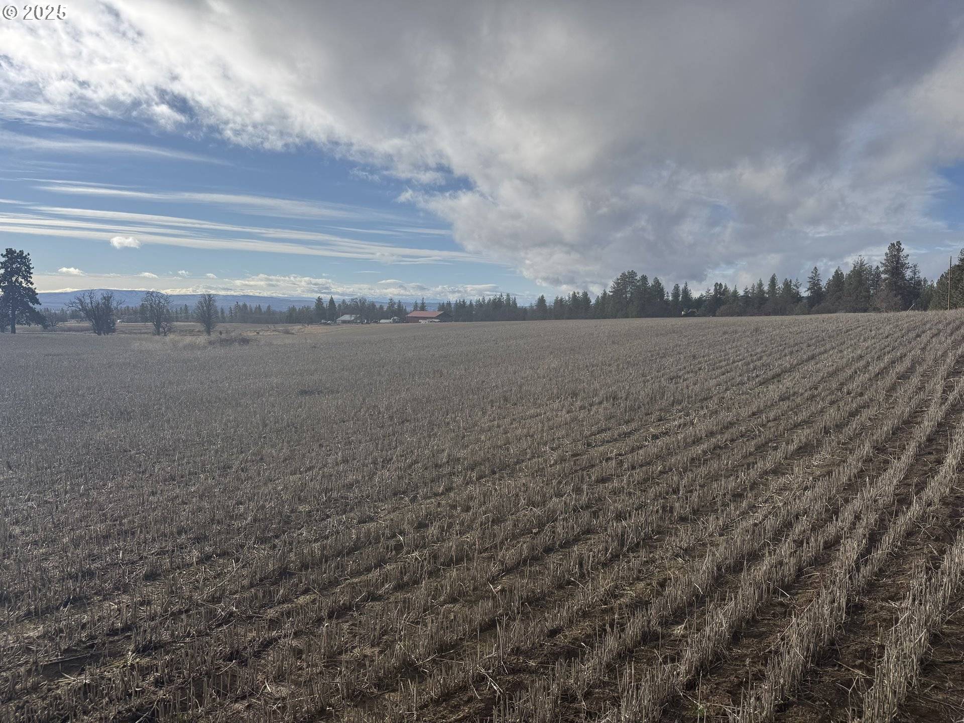 Centerville, WA 98613,NKA Two Mountainview RD #1