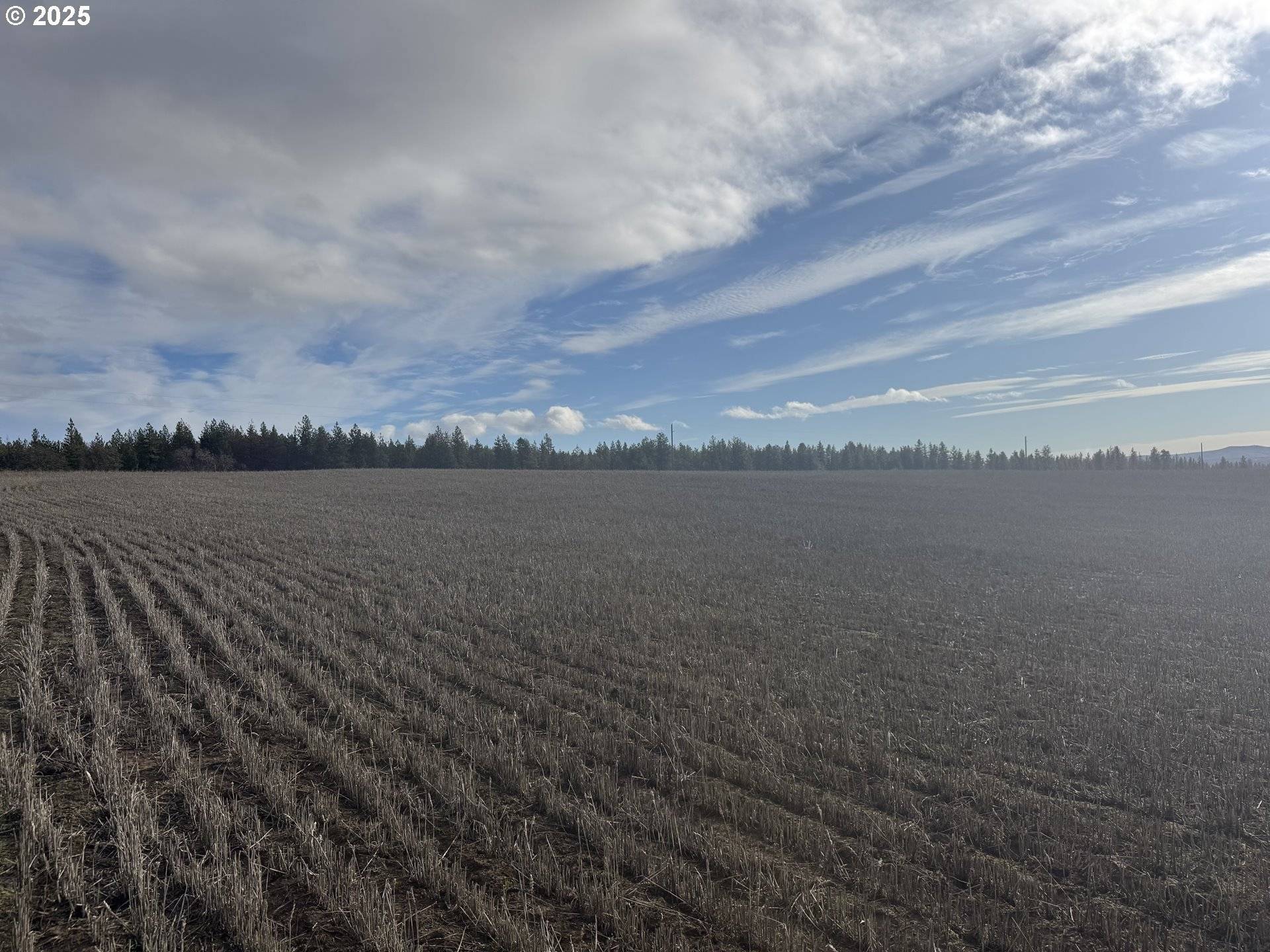 Centerville, WA 98613,NKA Two Mountainview RD #2