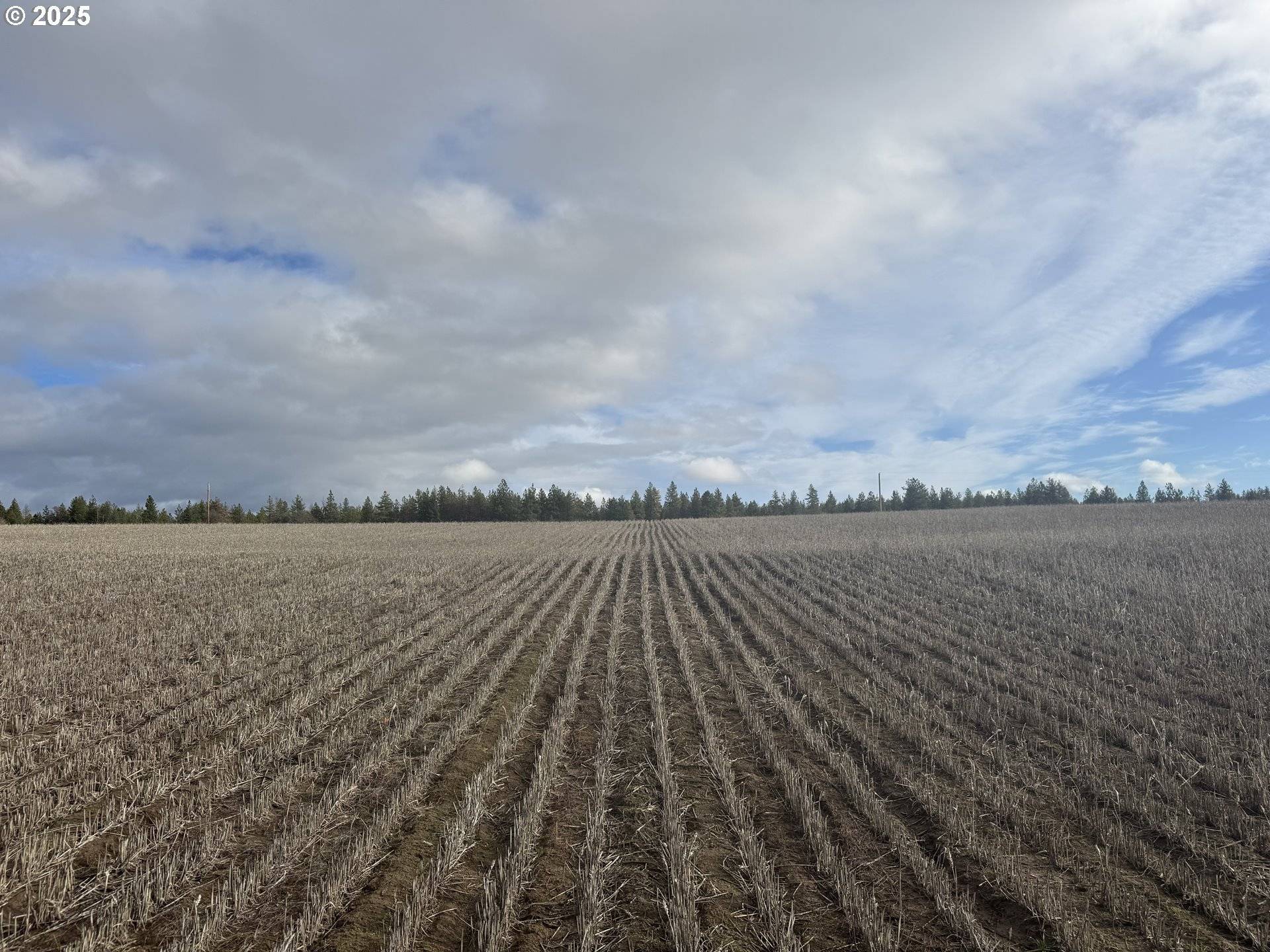 Centerville, WA 98613,NKA Two Mountainview RD #2