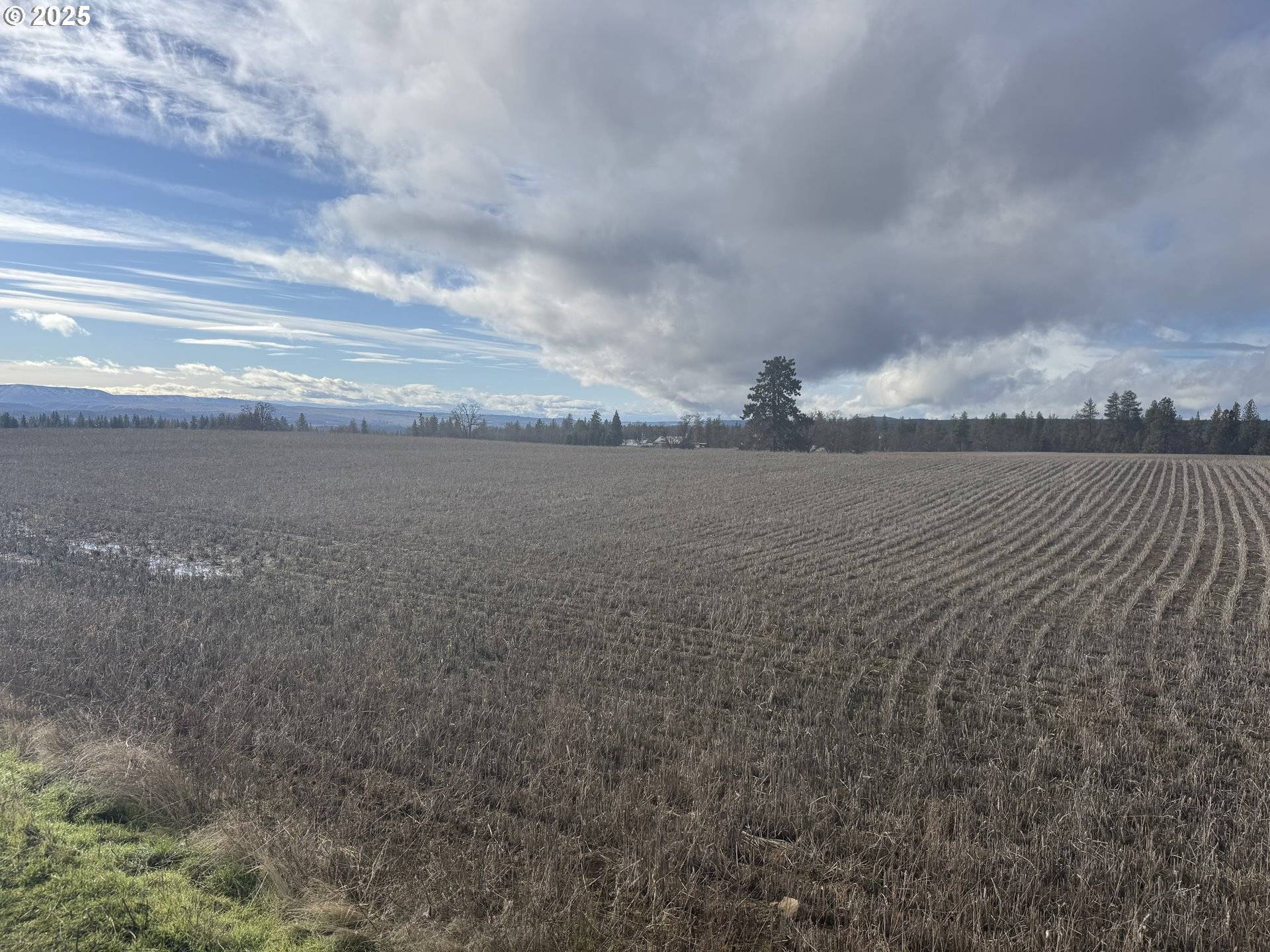 Centerville, WA 98613,NKA Two Mountainview RD #2