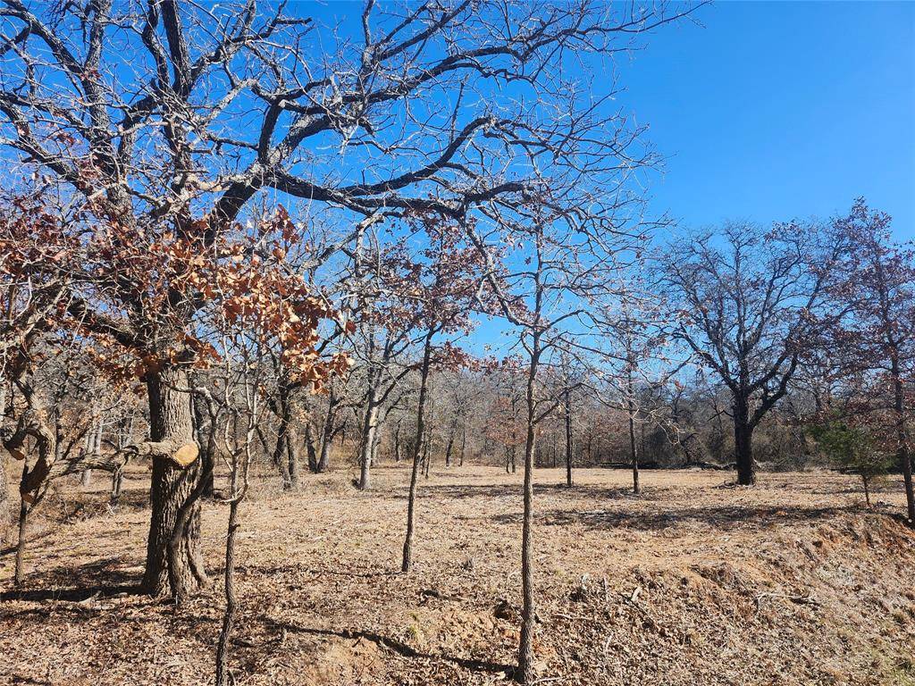 Nocona, TX 76255,259 Comanche Trail