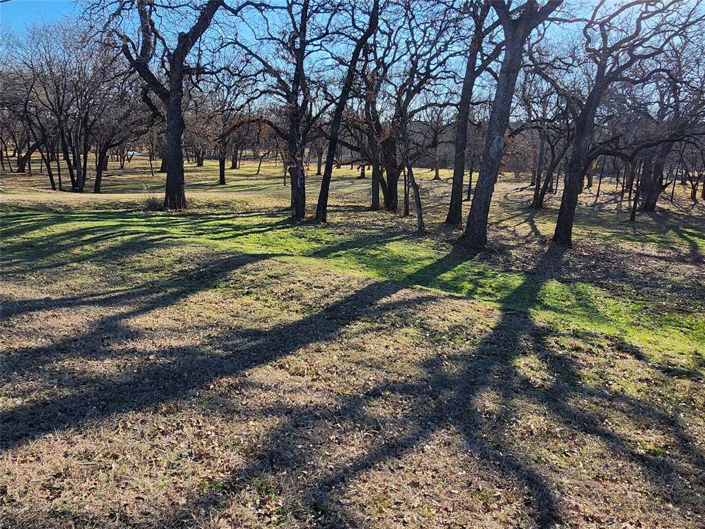 Nocona, TX 76255,5 Vista Court