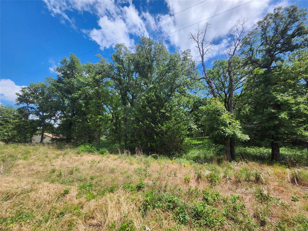 Nocona, TX 76255,167 Chisholm Trail