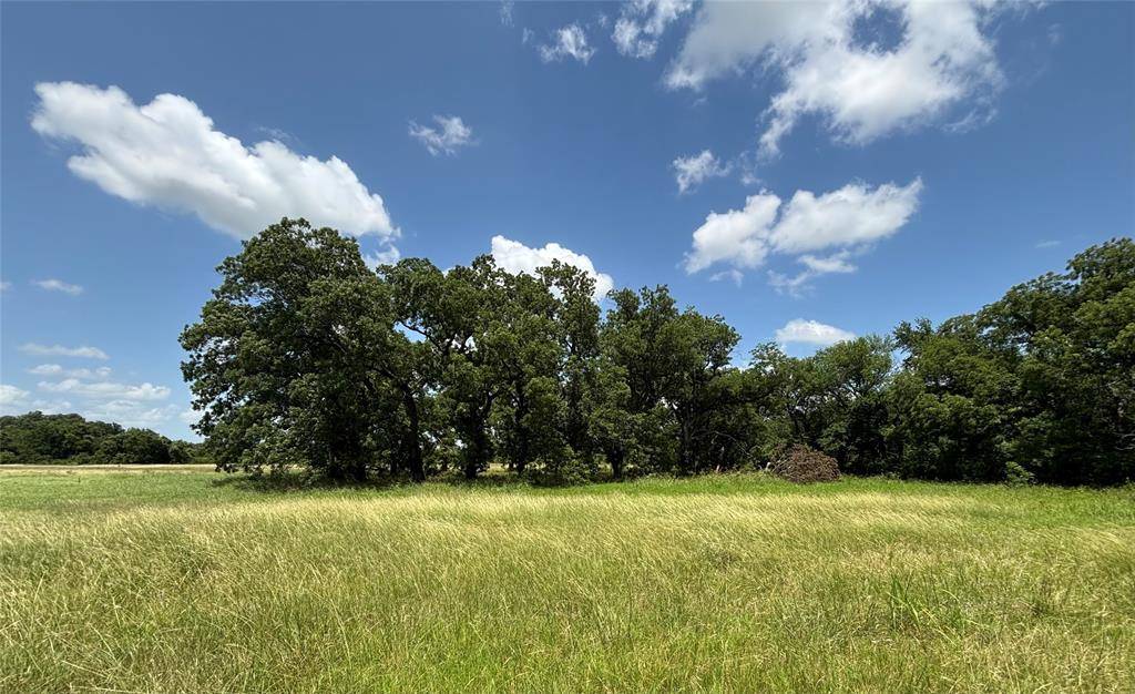 Valley Mills, TX 76689,Lot 1 Chisholm Trail