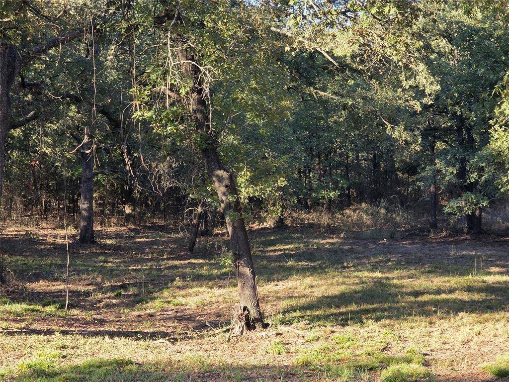 Nocona, TX 76255,125 Comanche Trail