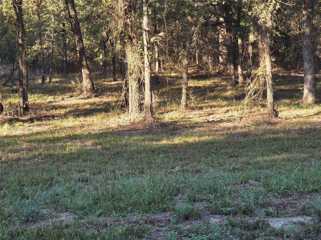 Nocona, TX 76255,125 Comanche Trail