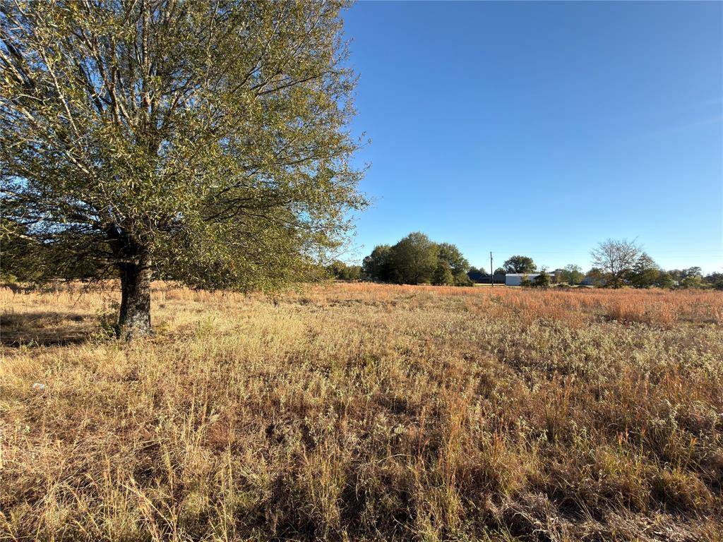 Blossom, TX 75416,LOT 20 TBD PR 44005