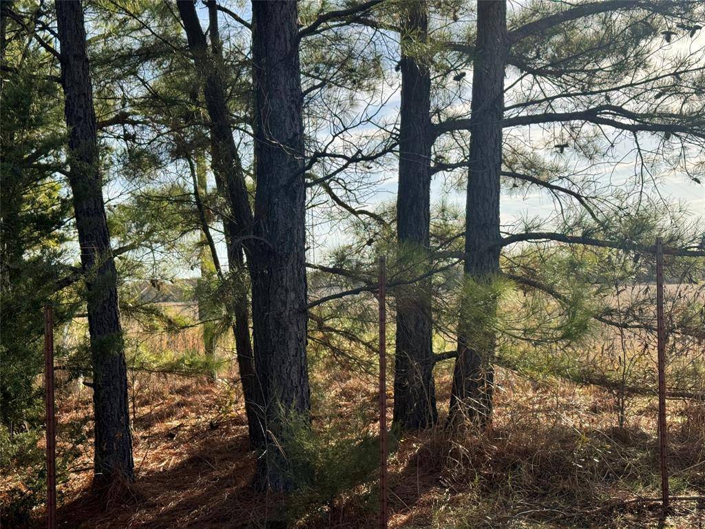 Telephone, TX 75488,TBD FM 273