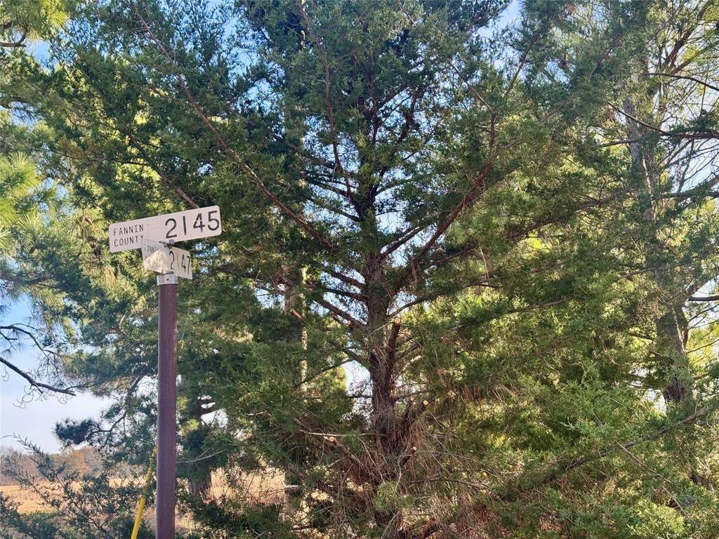 Telephone, TX 75488,TBD FM 273