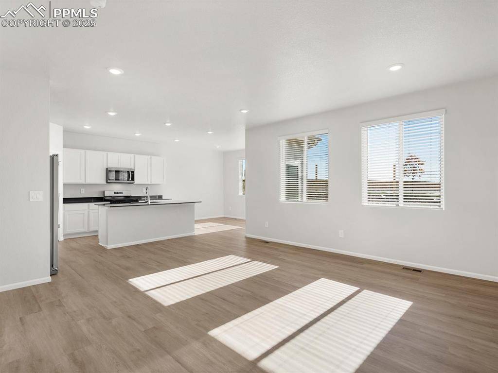 Colorado Springs, CO 80925,11379 Pikeminnow PL